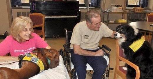 Animal assisted physical rehabilitative therapy